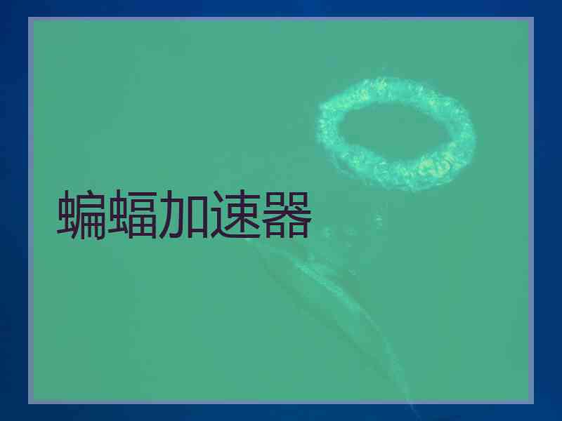 蝙蝠加速器