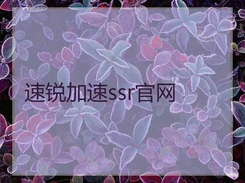 速锐加速ssr官网